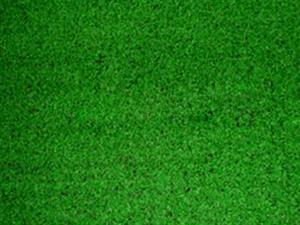 糊樹脂持續(xù)上漲,節(jié)水業(yè)務(wù)逐步拓展